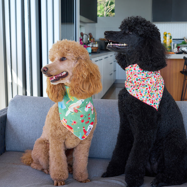 Holiday green - Bandana Bib - hot dog - christmas - confetti