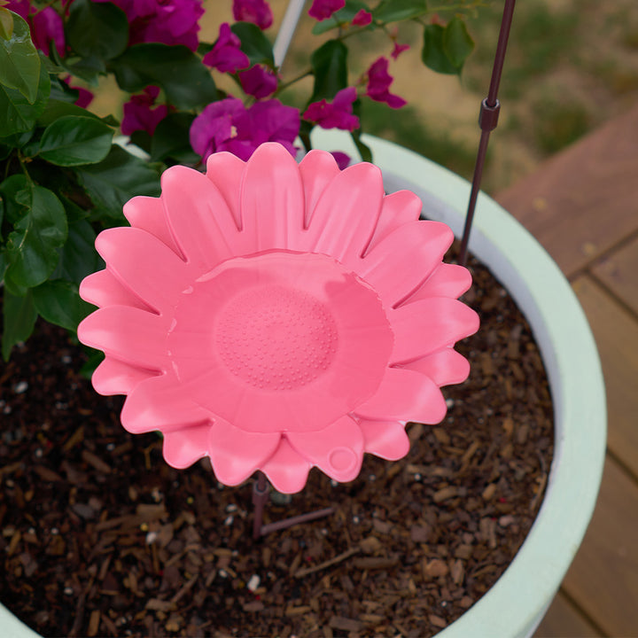 bamboo bird bath bird feeder pink