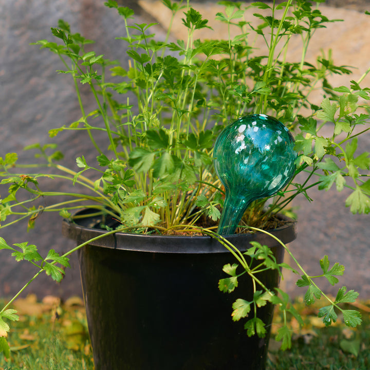 Annabel Trends - Plant Water Globes - Green