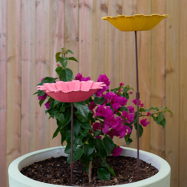 bamboo bird bath bird feeder pink yellow