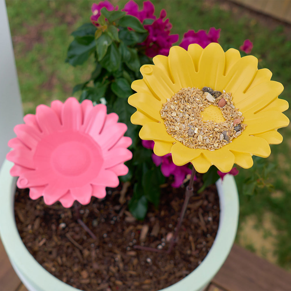 bamboo bird bath bird feeder pink yellow