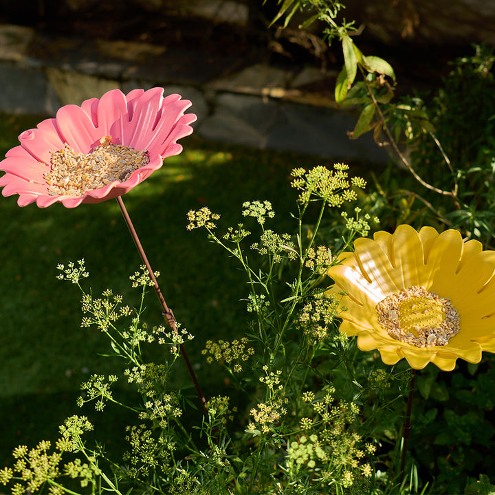 sunflower-bird-bath-feeder