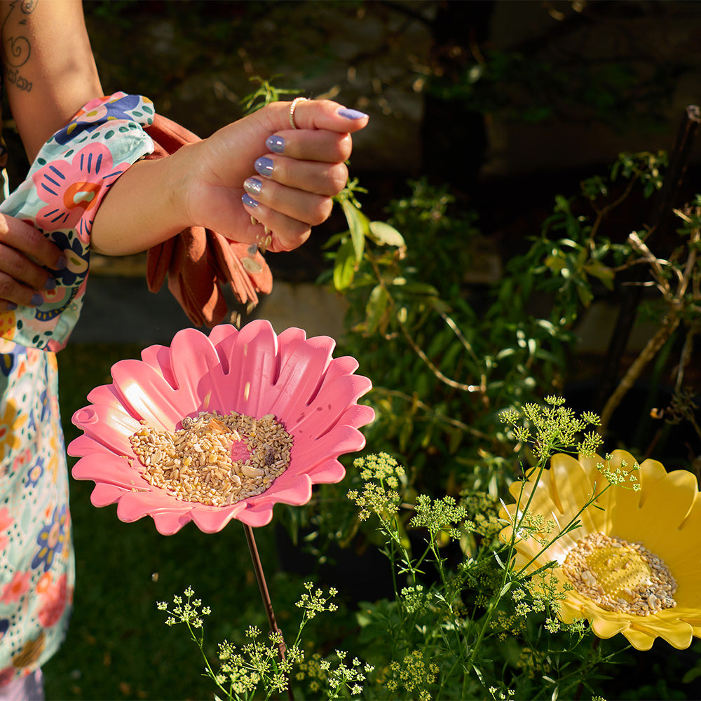 sunflower-bird-bath